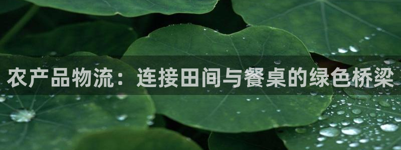 TP钱包安卓版下载1.63：农产品物