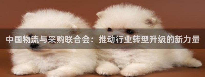 tp数字钱包可以安装到电脑吗安全吗：