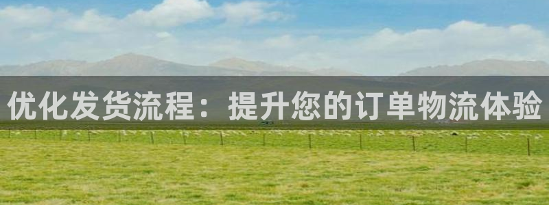 tp 钱包 接口：优化发货流程：提升