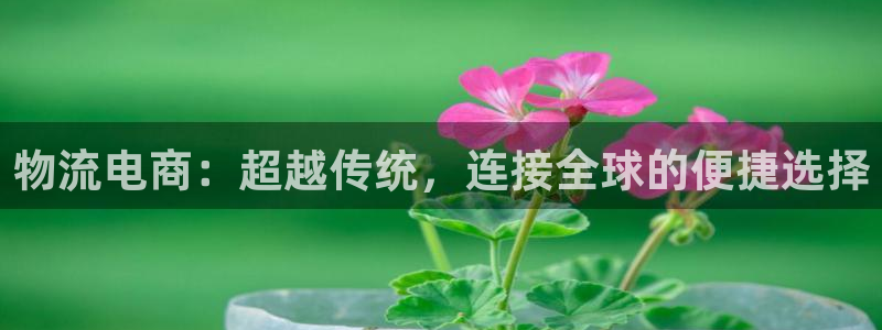 tp钱包在国内合法吗
