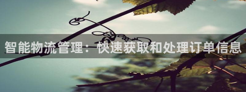 tp钱包地址查询：智能物流管理：快速