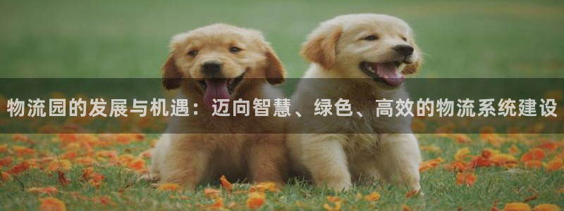 tp钱包怎么上币