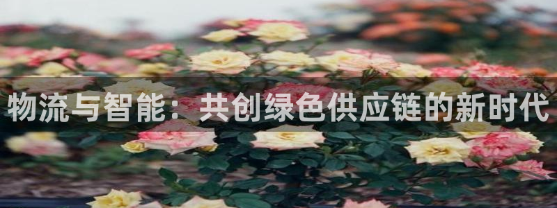 tp钱包app官网Itp：物流与智能