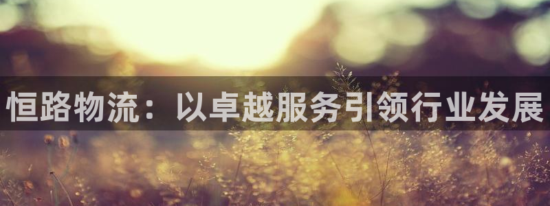 tp钱包和交易所区别：恒路物流：以卓