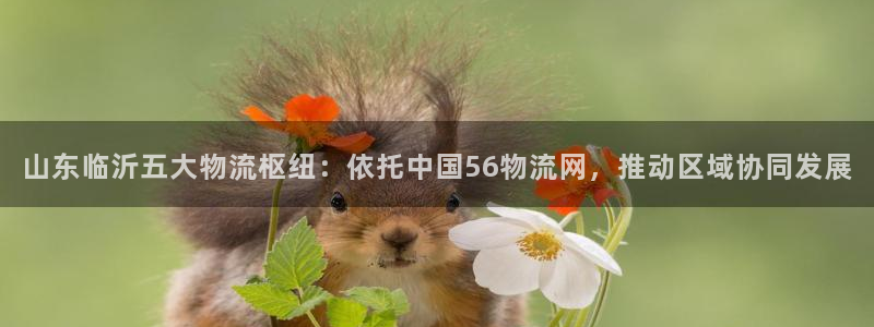 tp官方下载安卓最新版本：山东临沂五