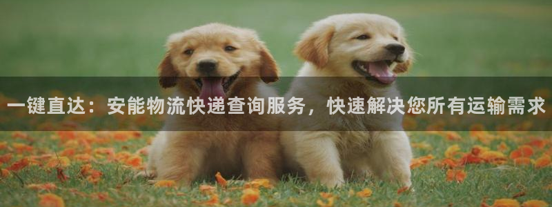 tp钱包 im钱包：一键直达：安能物