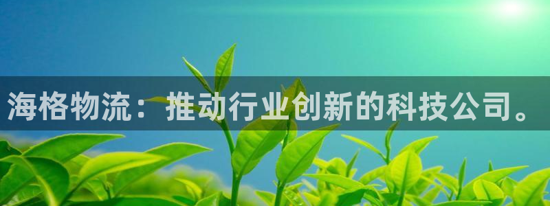tp官网钱包网址：海格物流：推动行业