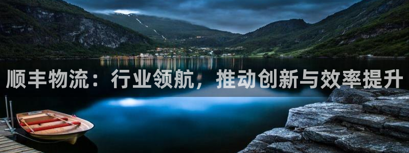 tptp普通下载：顺丰物流：行业领航