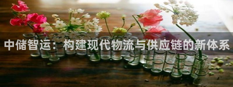 TP钱包如何下载?安卓手机