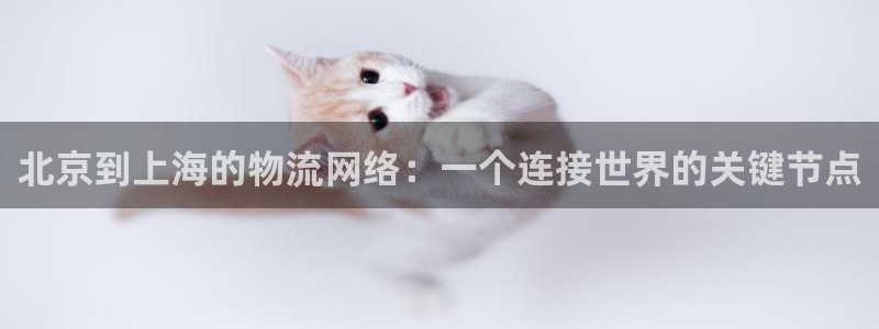 苹果tp钱包官网下载：北京到上海的物