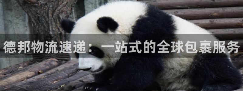 tp钱包APK：德邦物流速递：一站式