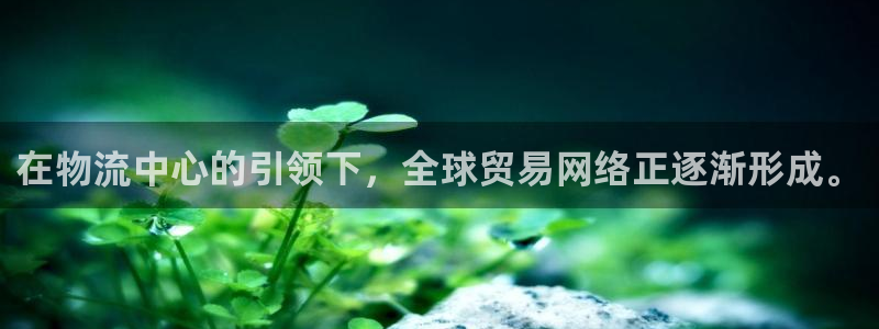 tp钱包官网免费下载：在物流中心的引