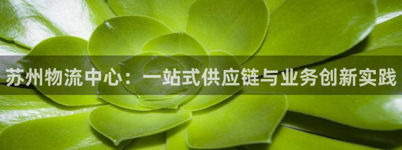 tp 钱包下载