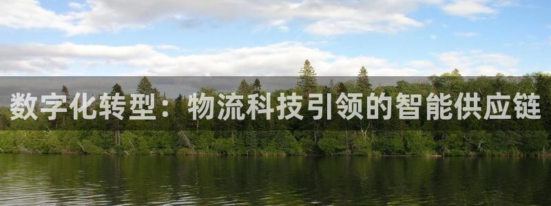tp钱包特别卡：数字化转型：物流科技