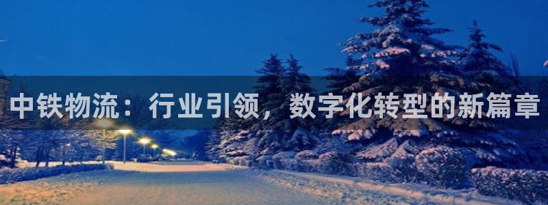 tp钱包approve：中铁物流：行