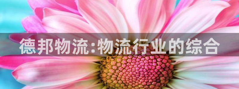 tp数字钱包官网下载：德邦物流:物流