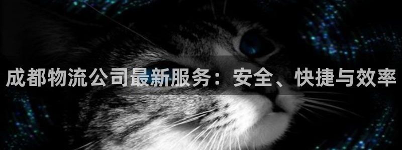 tp钱包的币转出多久到账：成都物流公