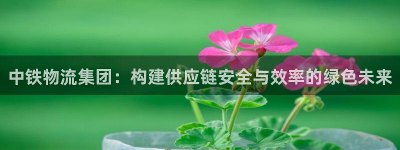 tp钱包和im钱包：中铁物流集团：构