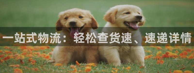 tp钱包观察钱包怎么删除：一站式物流