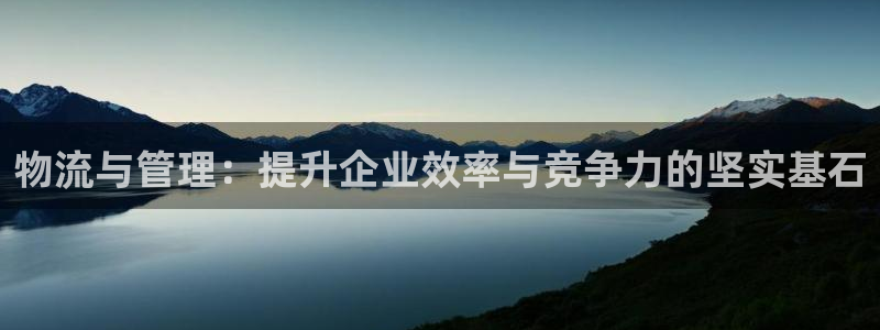 TP钱包买能量失败是为什么：物流与管