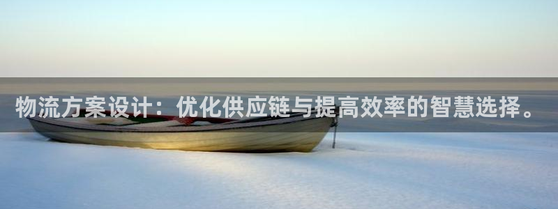 钱包tp和im哪个好用：物流方案设计