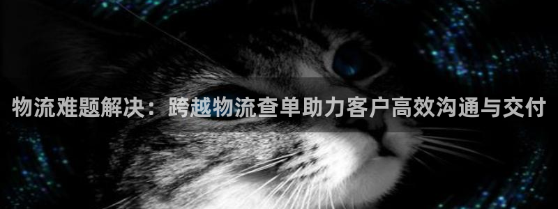 TP钱包官方网站地址：物流难题解决：