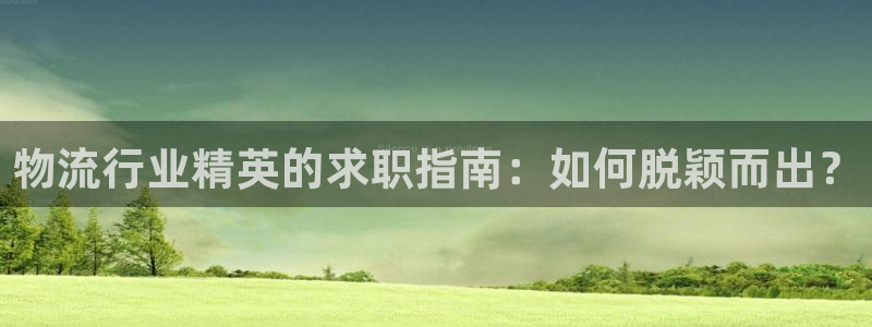 tp钱包怎么创建usdt