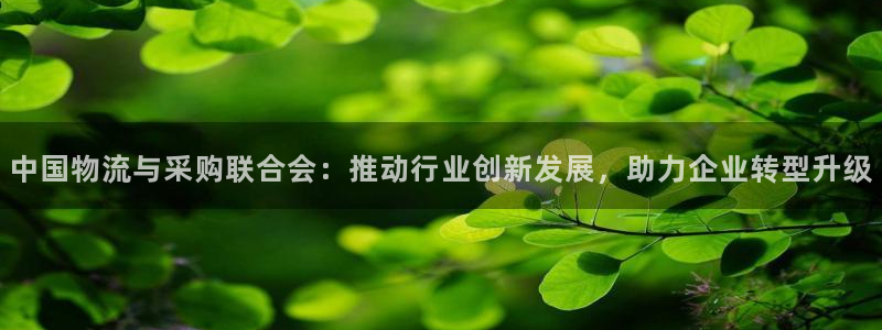 tp钱包登录会有ip地址吗：中国物流