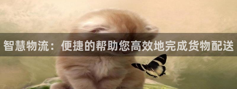 tp钱包安全性怎么来的：智慧物流：便