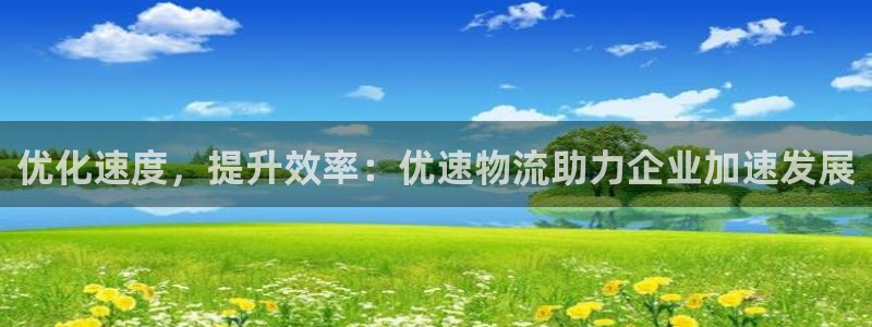 tp钱包交易数据不更新：优化速度，提