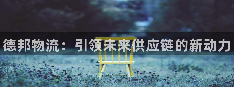 TP钱包没有扫码权限：德邦物流：引领