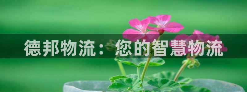 tp钱包的安全性高吗