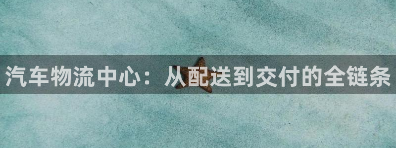 tp钱包一直确认中：汽车物流中心：从