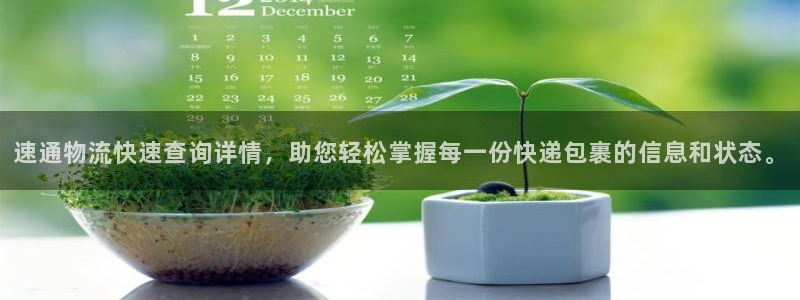 tp钱包怎样启用谷歌验证