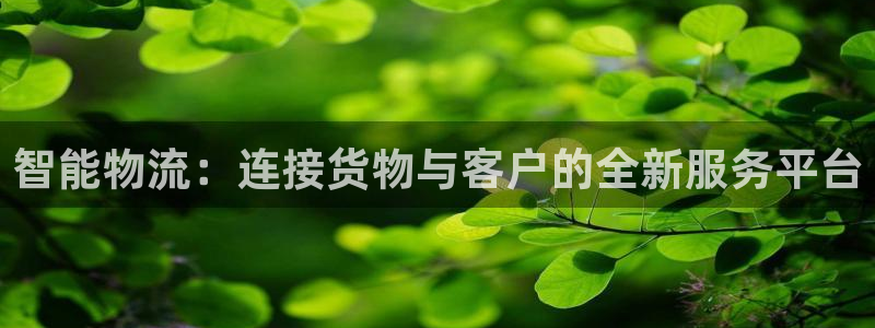 tp钱包APP闪退怎么办
