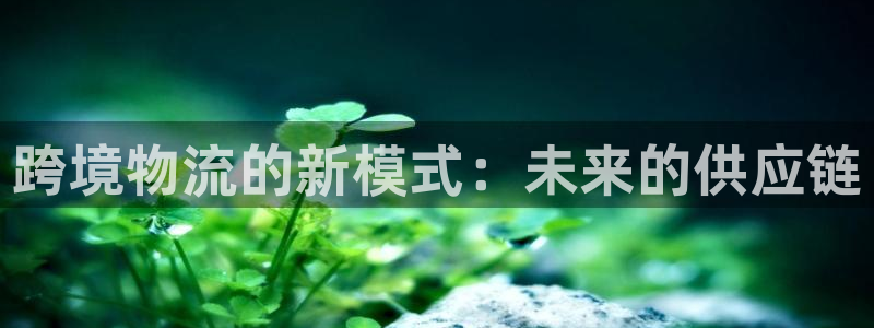 TP数字钱包app下载：跨境物流的新