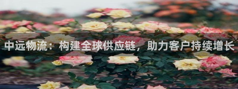 tp钱包内部转账：中远物流：构建全球