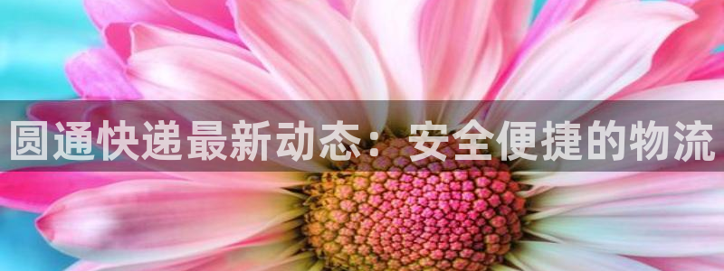 tp钱包最新版本