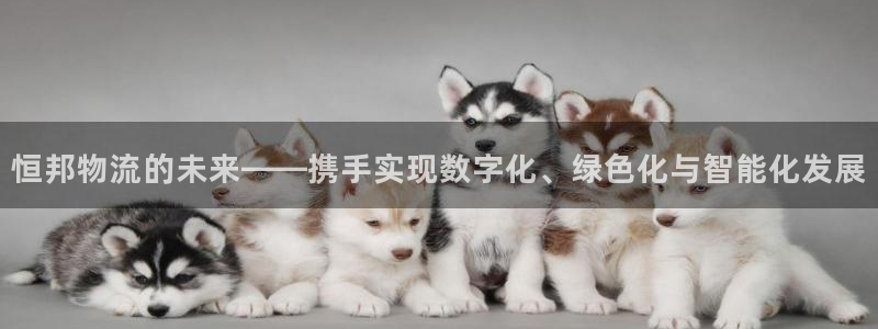 tpc数字货币官网