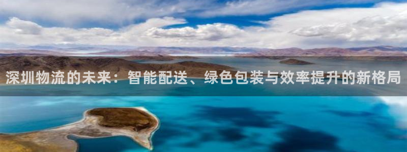tp钱包被盗怎么报警：深圳物流的未来