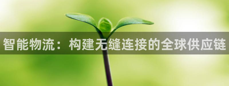 tp钱包被盗了几率大吗