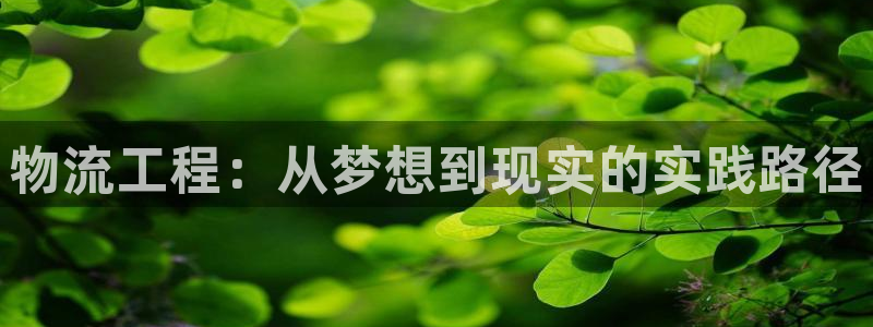 tp钱包矿工费okt：物流工程：从梦