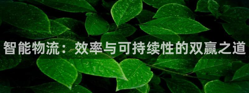 tp钱包官网下载tp钱包：智能物流：