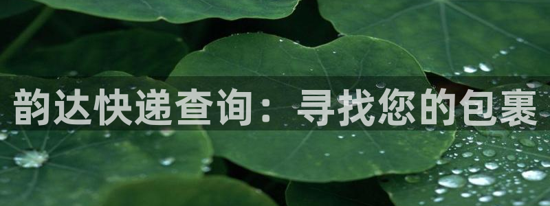 TP钱包下载软件：韵达快递查询：寻找