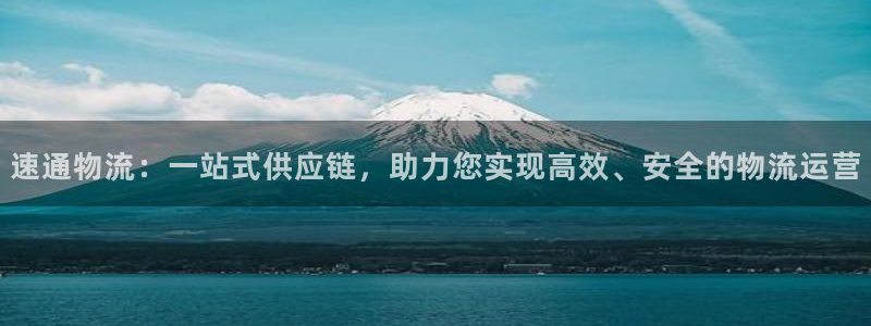 tp钱包nft交易网址：速通物流：一
