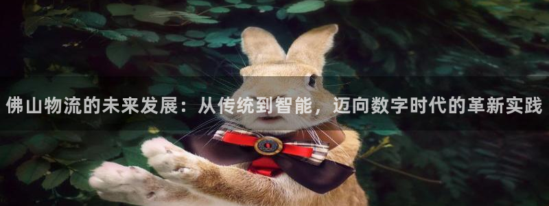 下载TP_LINK监控：佛山物流的未