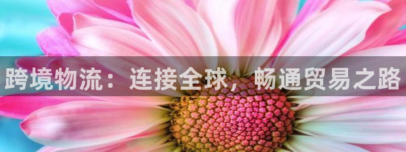 tp钱包与web3钱包哪个安全