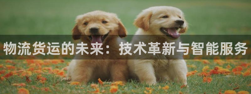 Tp钱包怎样创建子钱包：物流货运的未