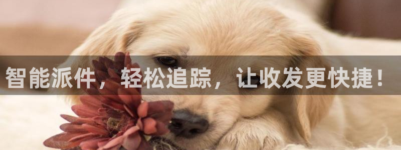 下载TP_LlNklPC：智能派件，