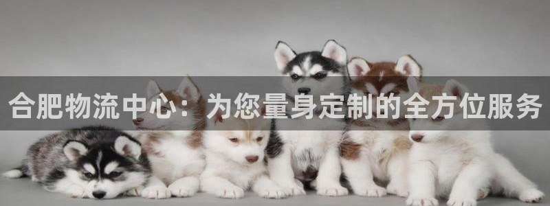tp钱包可以转哪些币：合肥物流中心：